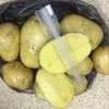 купить картофель Гала оптом в Кемерово  в Кемерове 3