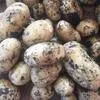 купить картофель Гала оптом в Кемерово  в Кемерове