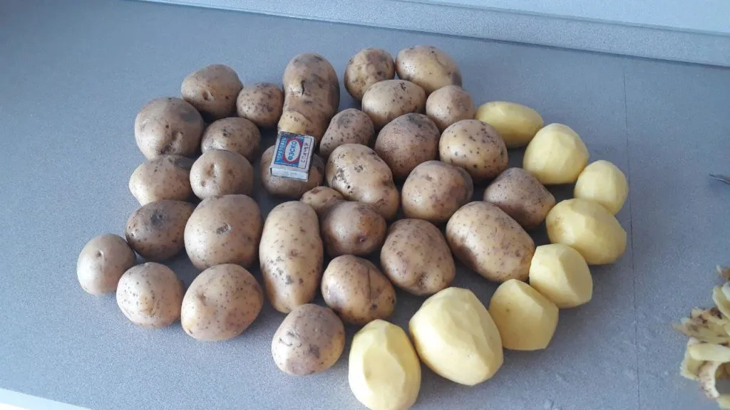 картофель под мойку Гала в Кемерове